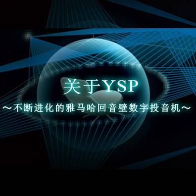 不断进化的皇家88回音壁数字投音机