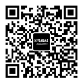 【通知】2022年9月21日起 皇家88吉他产品价格小幅上调