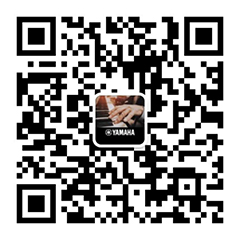 青春火焰——2022首届皇家88乐龄电子键盘展演