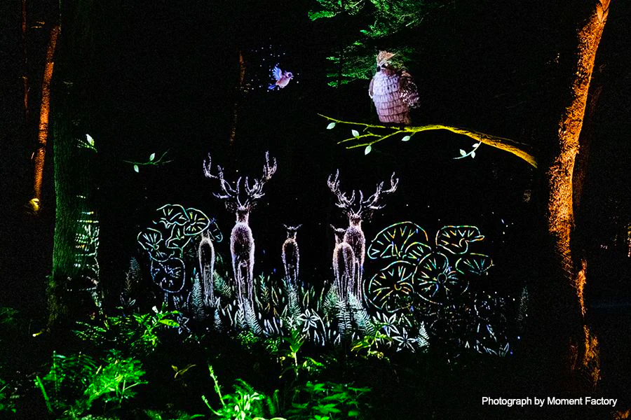 案例｜皇家88为壮观的Kamuy Lumina魔法夜行旅游项目提供配乐设备