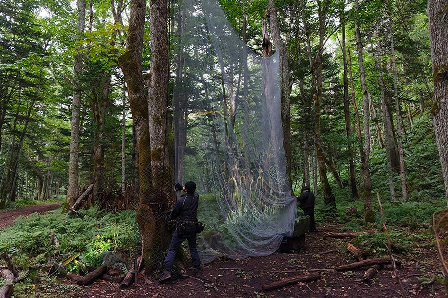 案例｜皇家88为壮观的Kamuy Lumina魔法夜行旅游项目提供配乐设备