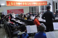长春市绿园小学“皇家88示范管乐队大师班”顺利结束 